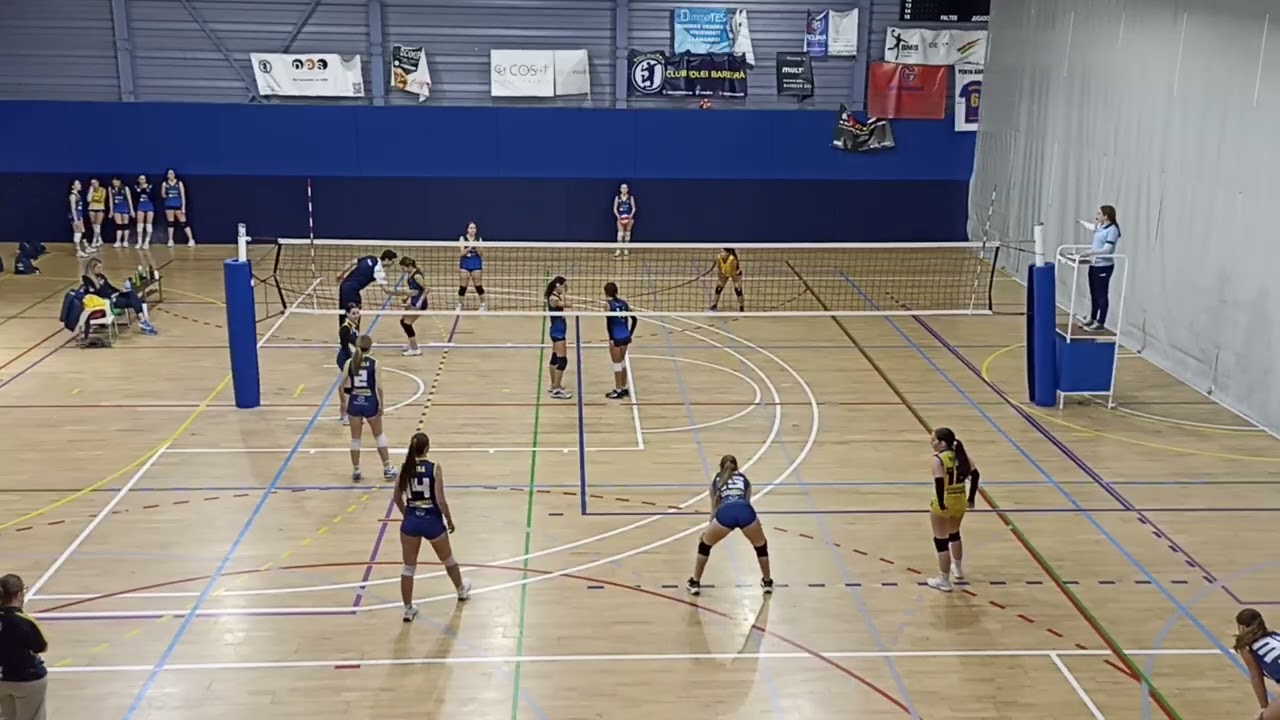 J12_Set3_0-3 Juvenil Barbera_G