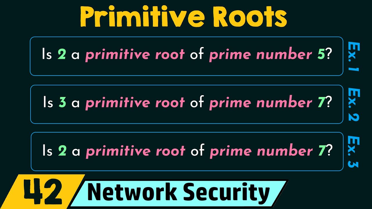 Primitive Roots