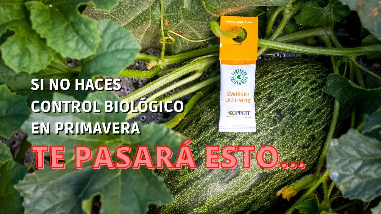 ¿Por qué hacer control biológico en primavera?