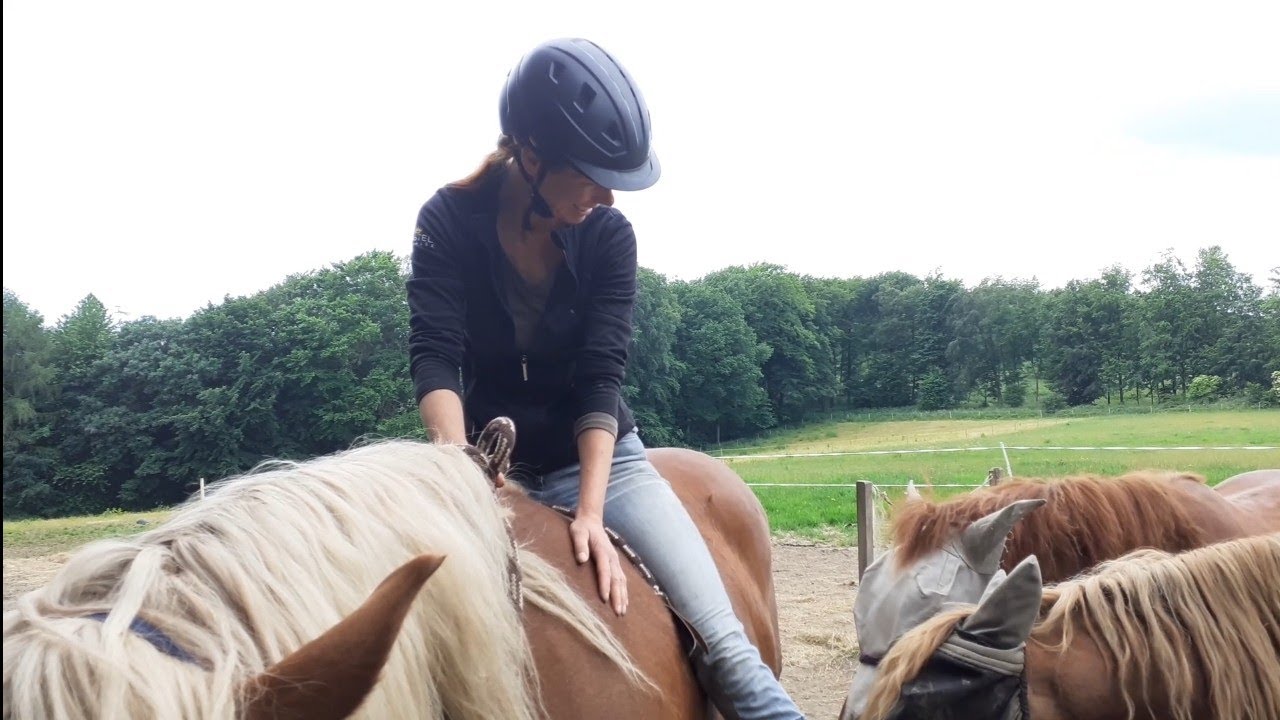 Reine Vertrauensfrage: Ab wann ist ein junges Pferd bereit, Dich auf seinem Rücken zu dulden?