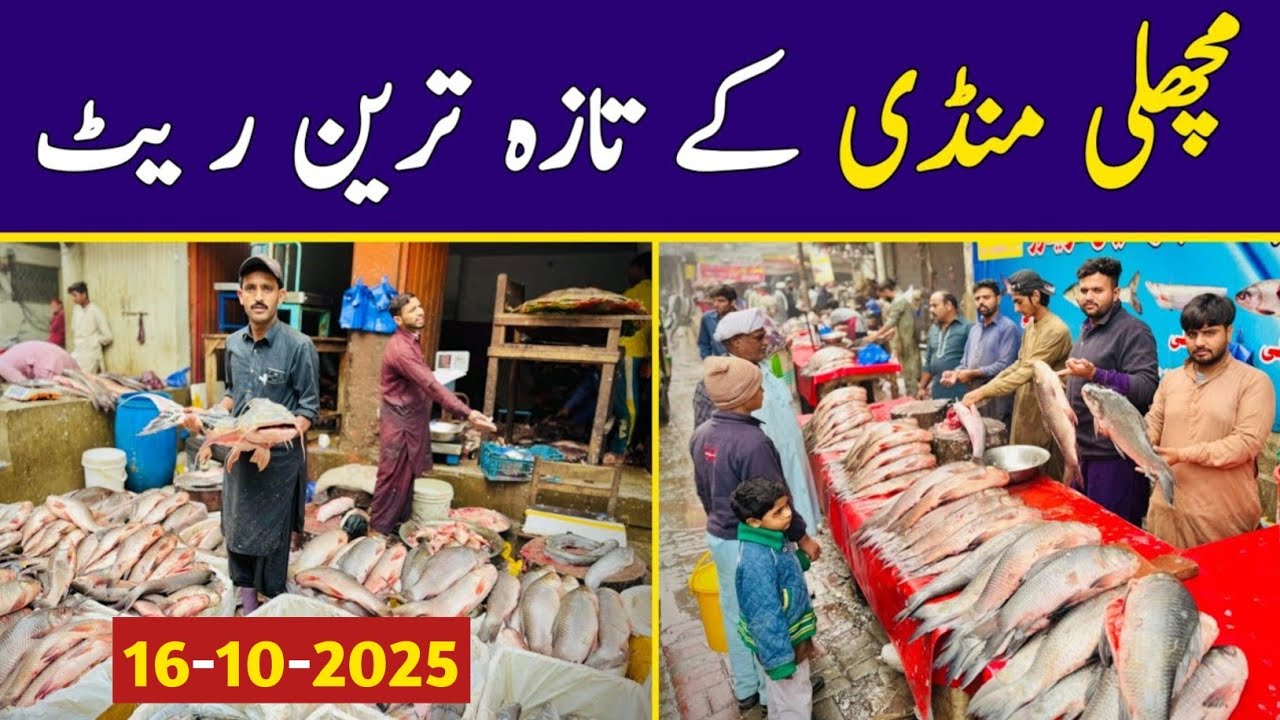 New Fish Market Lahore | Wholesale Fish Market | Machli Mandi Lahore | Cheapest Fish | Fish Rates 