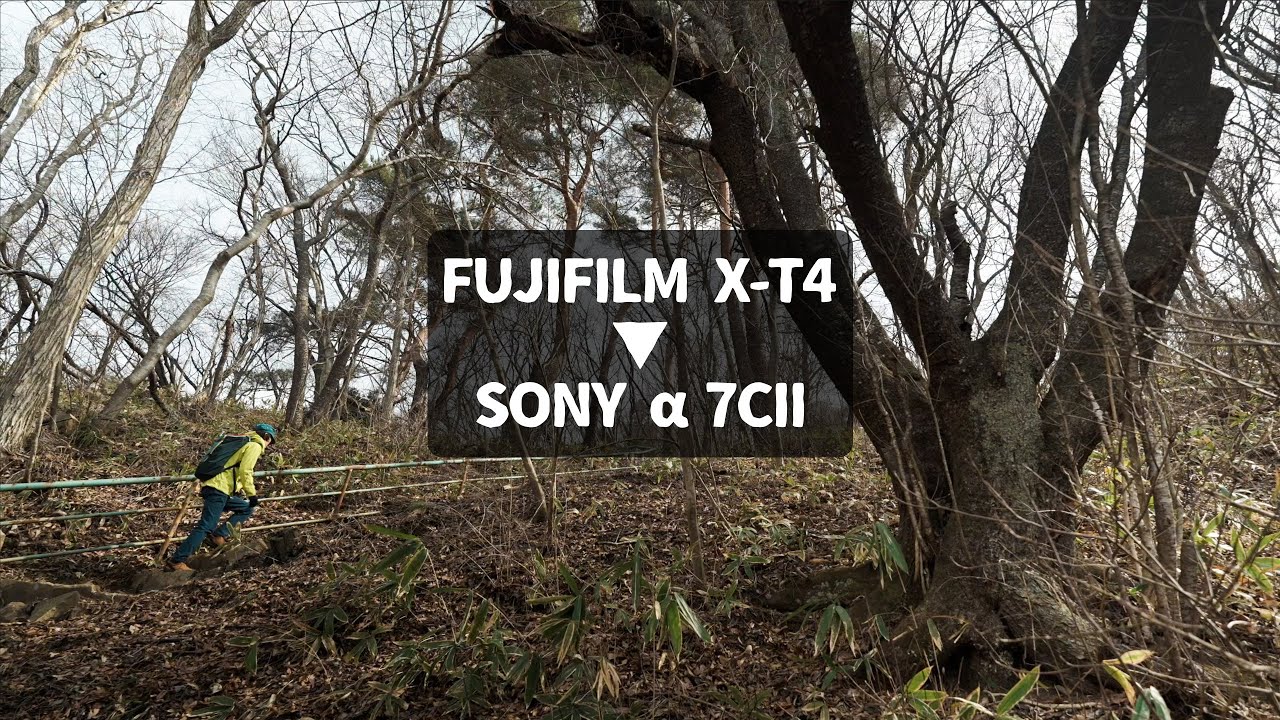 FUJIFILM X-T4からSONY α7C IIへ乗り換えた