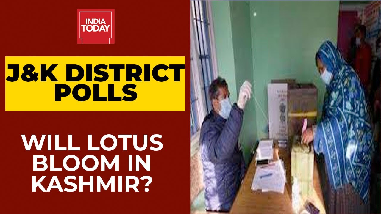 J&K DDC Election: Second Phase Voting Begins Amid Tight Security, 1st Polls After Article 370 Purge