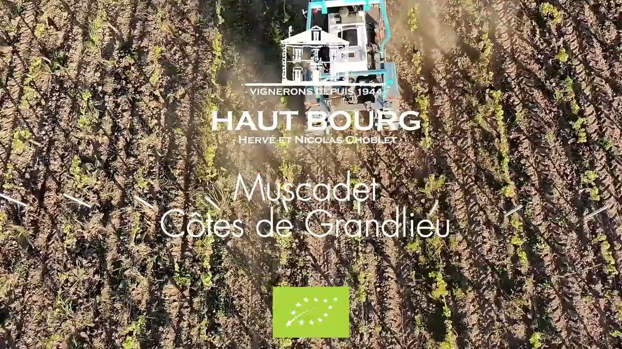 Haut Bourg 1 an de travail vigne 2025