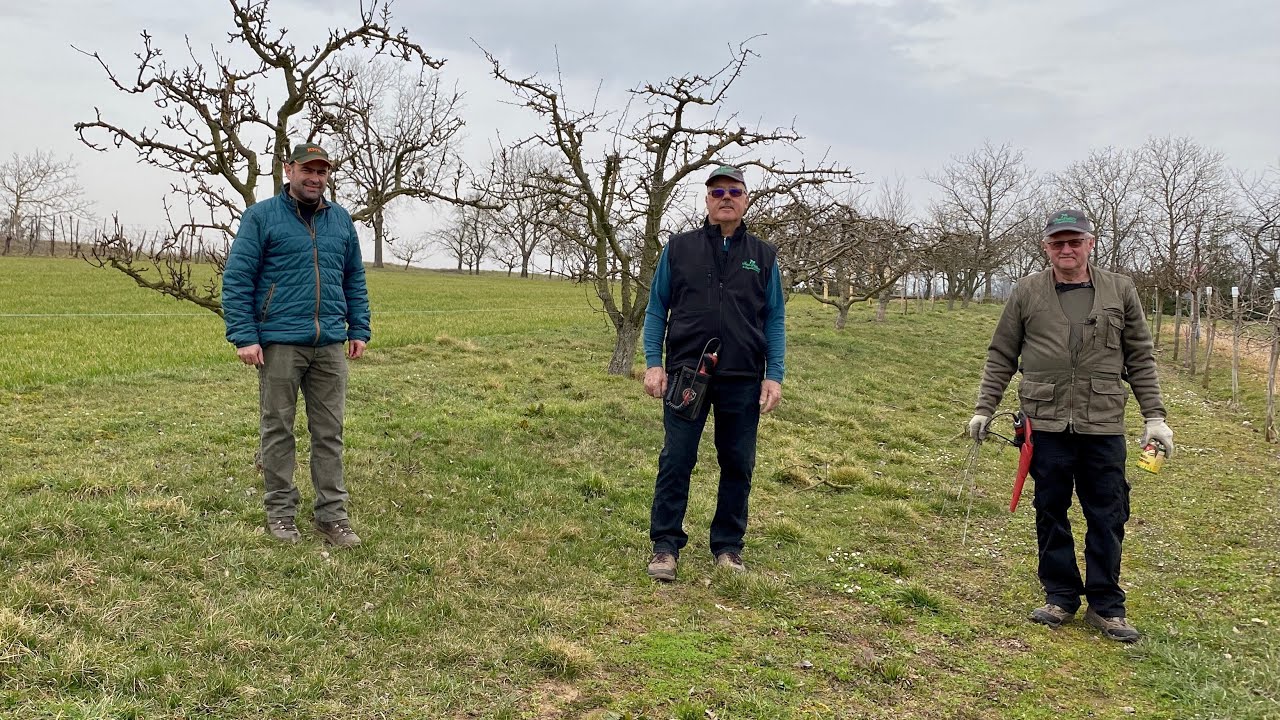 Cours de Taille fruitiers à Ohlungen & Grassendorf mars 2021 Association Fruitière de Haguenau.
