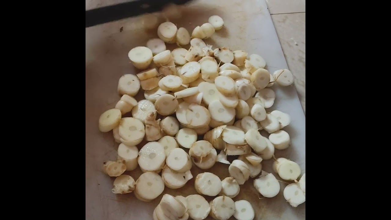 വീട്ടിലെ കൂവ പറിച്ചപ്പോൾ സംഭവിച്ചത് കണ്ടോ.