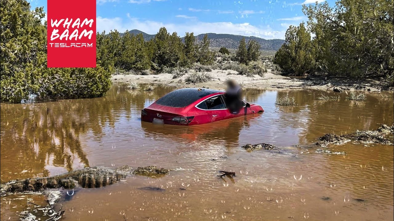 Полностью беспилотный Tesla упал в воду