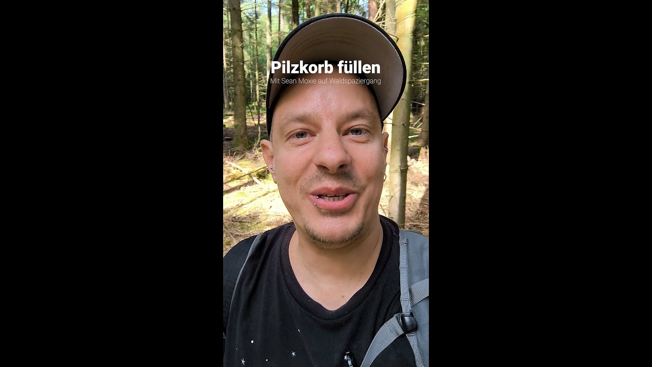 Pilkorb füllen - Sean Moxie geht mit Euch auf Pilzwanderung