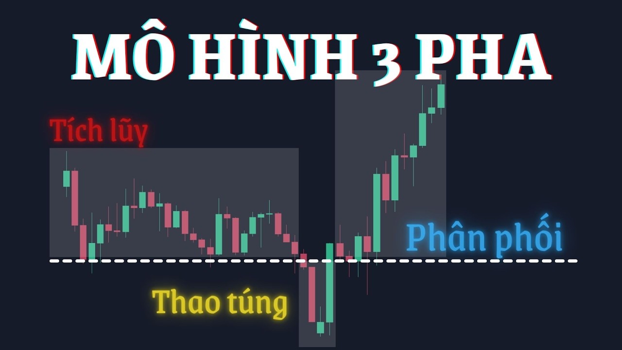 Mô hình 3 pha: 
