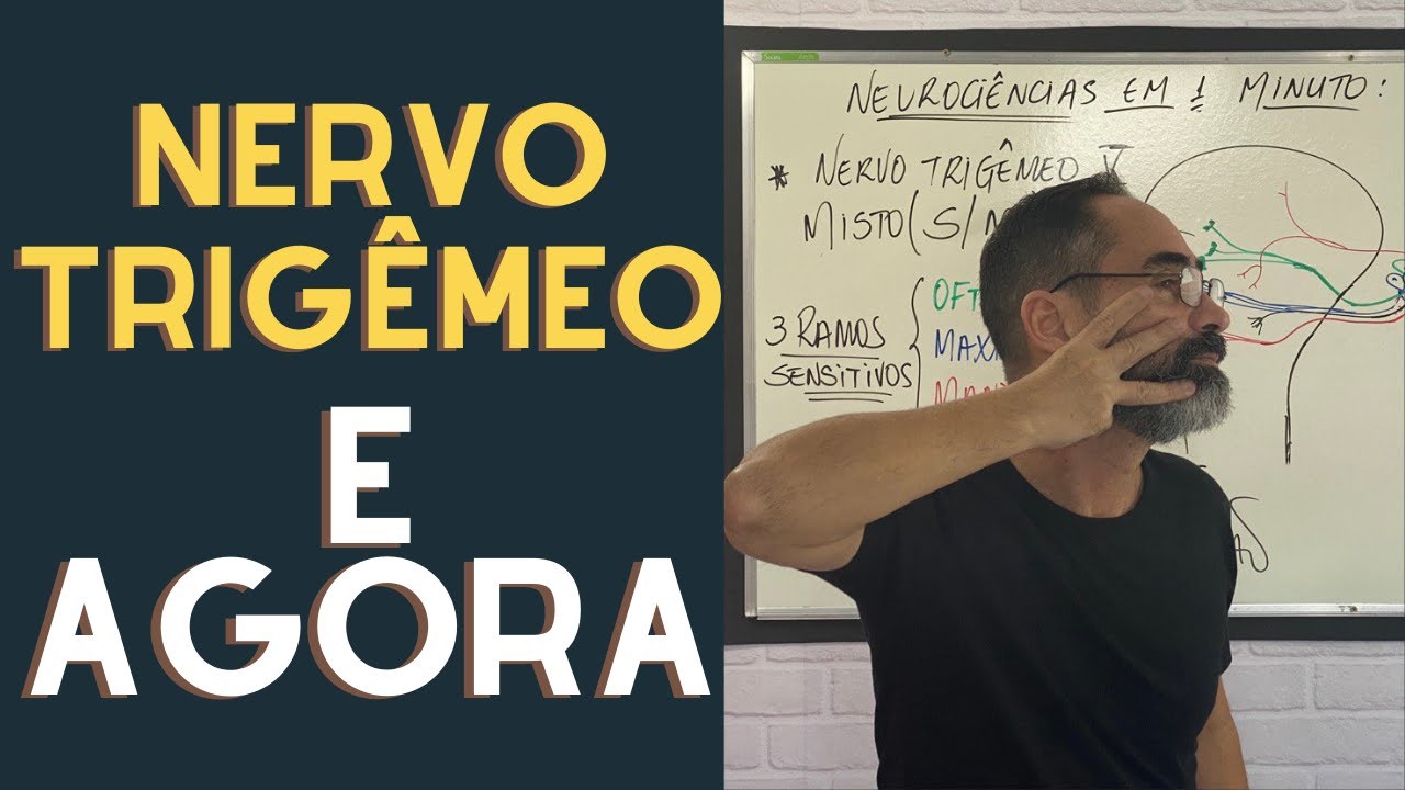 O QUE FAZ O NERVO TRIG&Ecirc;MEO ? NERVO MISTO