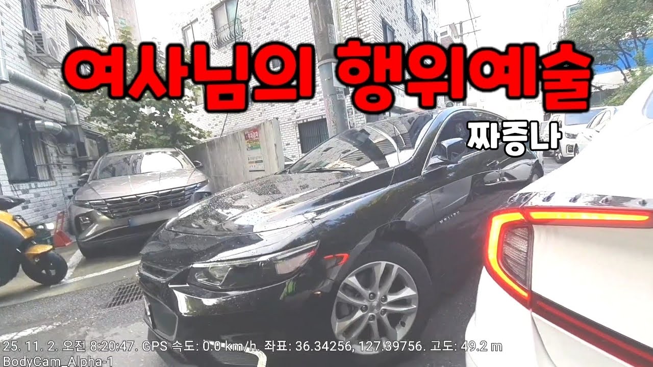 도참시 블랙박스 :오늘도 즐거운 아스팔트..... 2025 최신블박영상