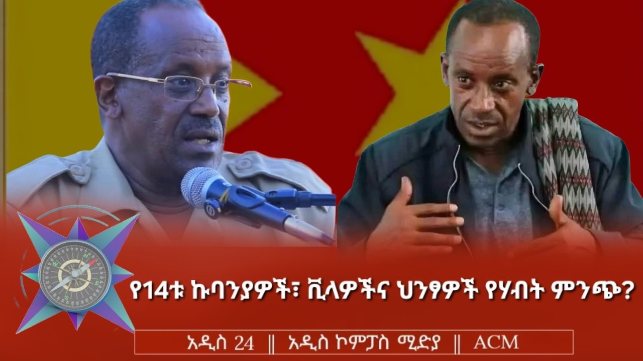 የ14ቱ ኩባንያዎች፣ ቪላዎችና ህንፃዎች የሃብት ምንጭ?