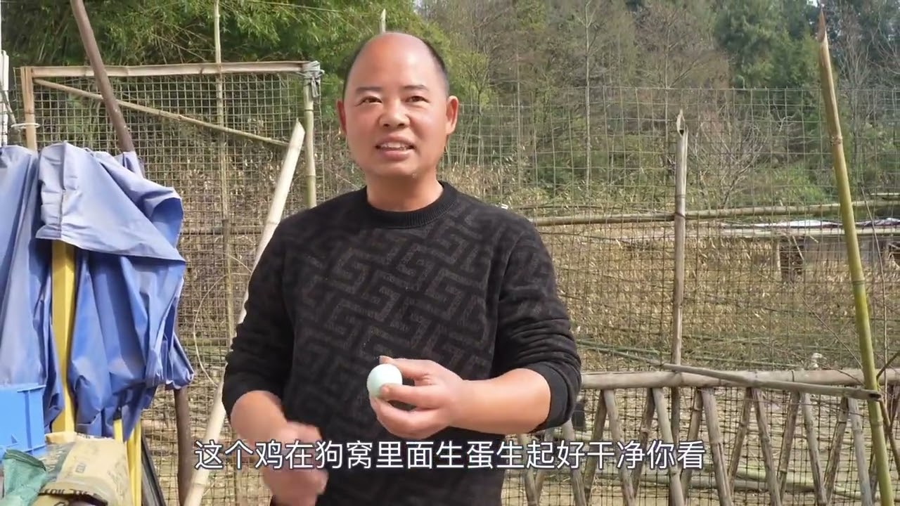 阿英自己家里种的老虎姜，配上骨头一起炖，味道简直太巴适了 #我的乡村生活 #原创视频 #山货 #乡村美食 #老虎姜炖骨头