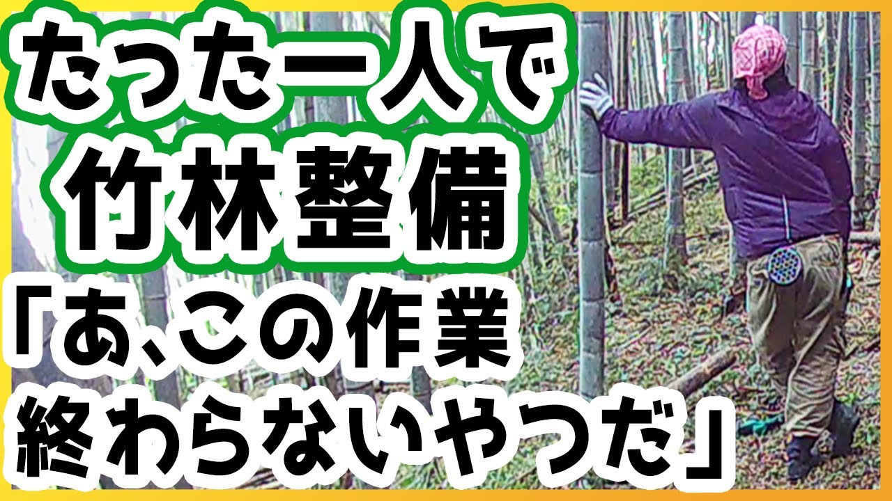 有酸素運動って運動ってレベルじゃねぇぞ！！【レベル0から竹林整備_倒れ竹処理編02】