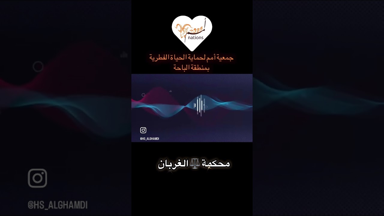محكمة الغربان الغراب من أذكى الطيور