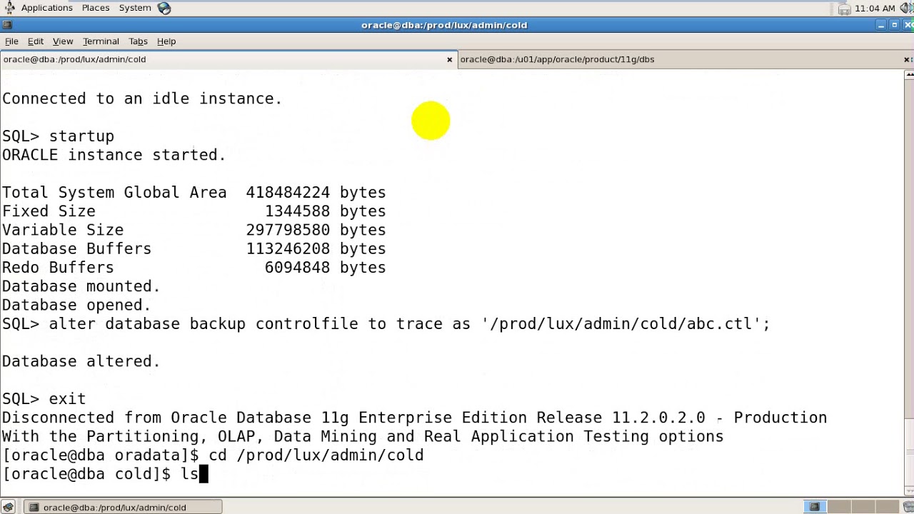 Oracle DBA Training:13 cloning Different types