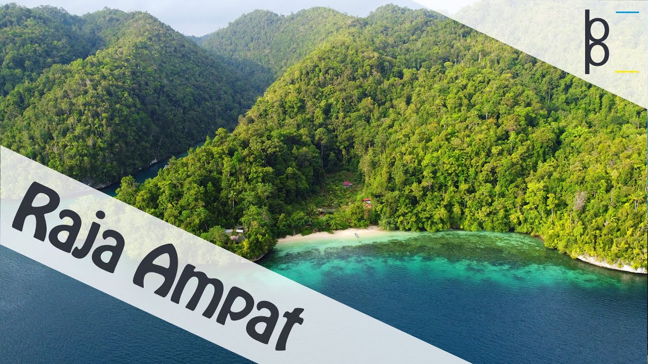 Raja Ampat Indonesia | Best Snorkel in the World