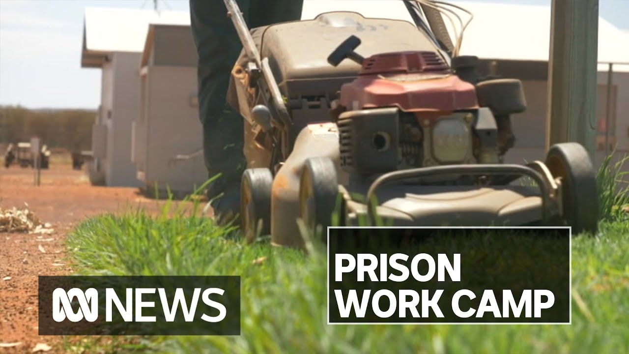 &lsquo;You feel useful&rsquo;: Prison work camp helping inmates prepare for life on the outside | ABC News