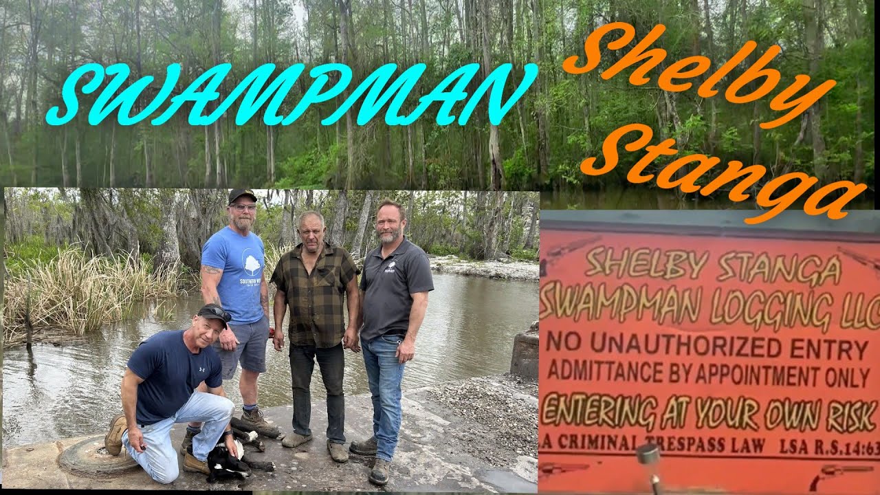 Swamp man Shelby Stanga and Paulstoolbox team up for Legendary 1000 yr. old cypress hunt.