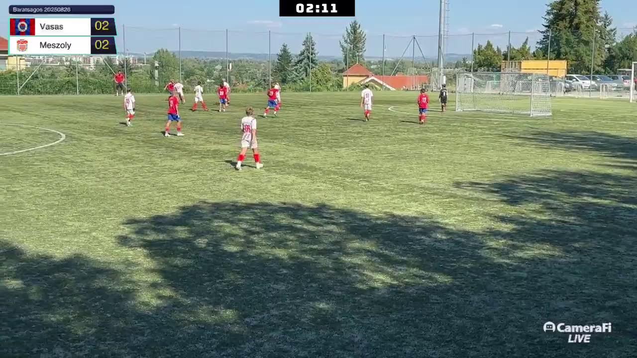 Vasas - Mészöly 20250826