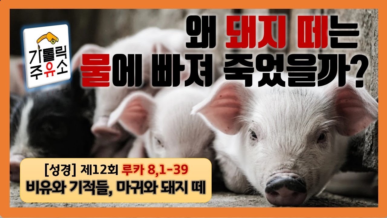[성경] 루카복음 제12회 - 왜 돼지 떼는 물에 빠져 죽었을까? (루카 8,1-39 비유와 기적들, 마귀와 돼지 떼)