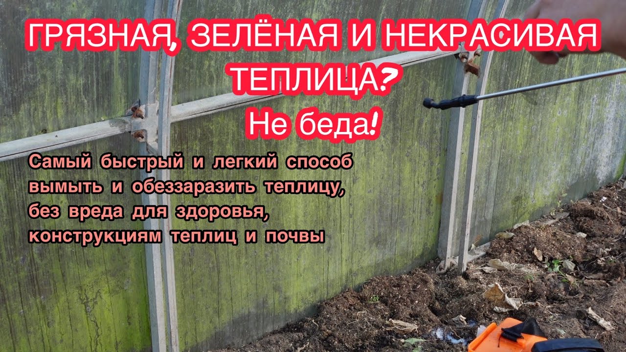 Осенняя обработка теплицы после сбора урожая. Зачем, как и для чего это делать.