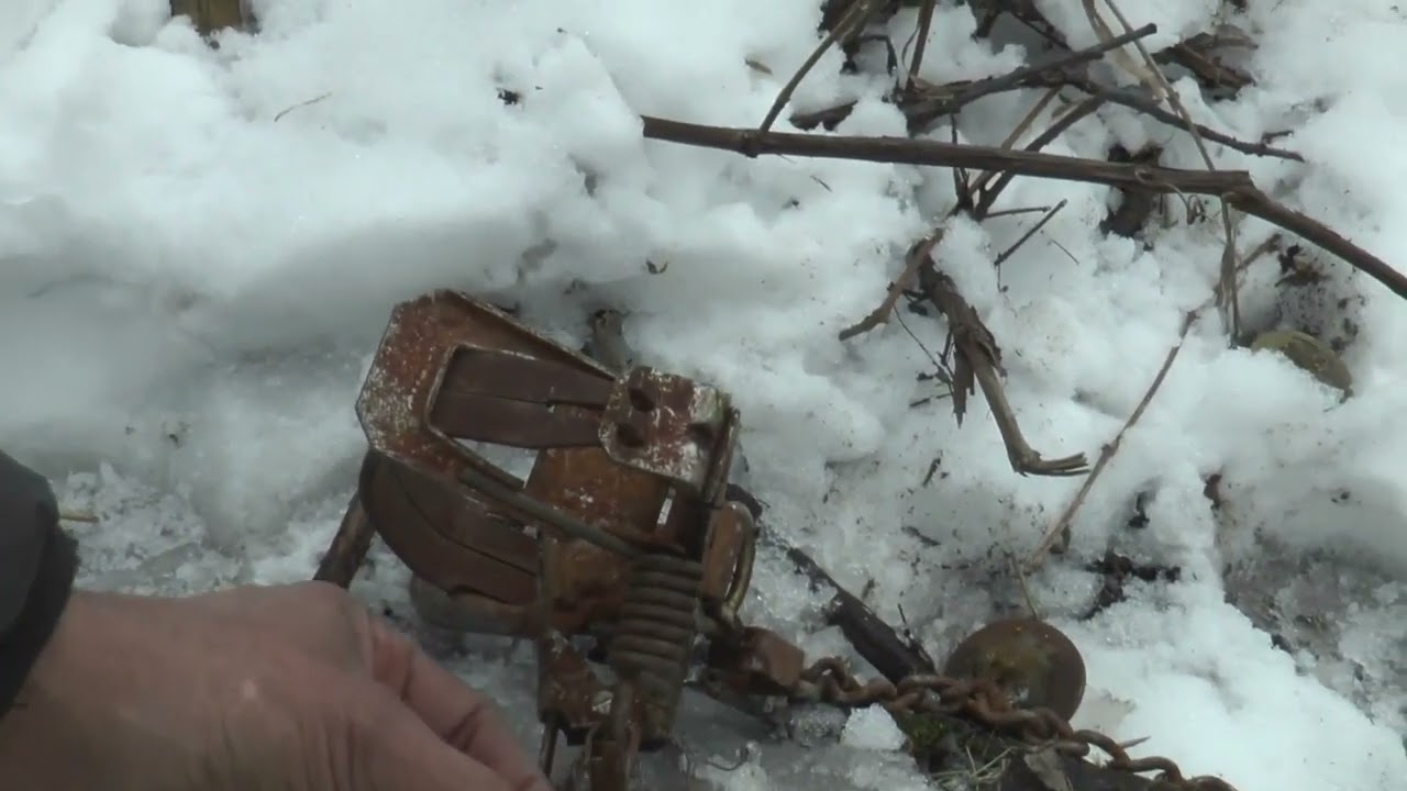 VTrans Beaver Trapping in Southern Vermont