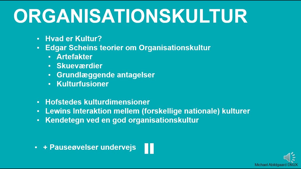 8.1 Organisationskultur