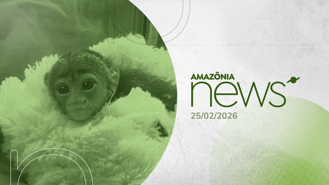Amazônia News 25/02/2026