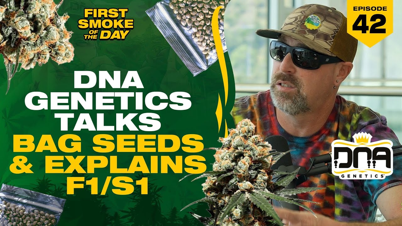 AARON OF DNA GENETICS TALKS BAG SEEDS & EXPLAINS F1/S1 | DNA GENETICS | FSOTD EP. 42