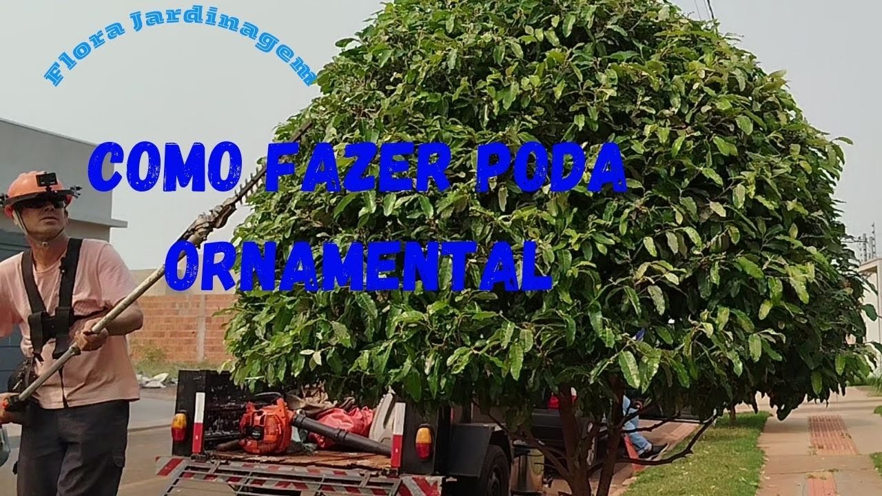 Poda ornamental técnica de jardinagem que consiste em dar formas artísticas às plantas