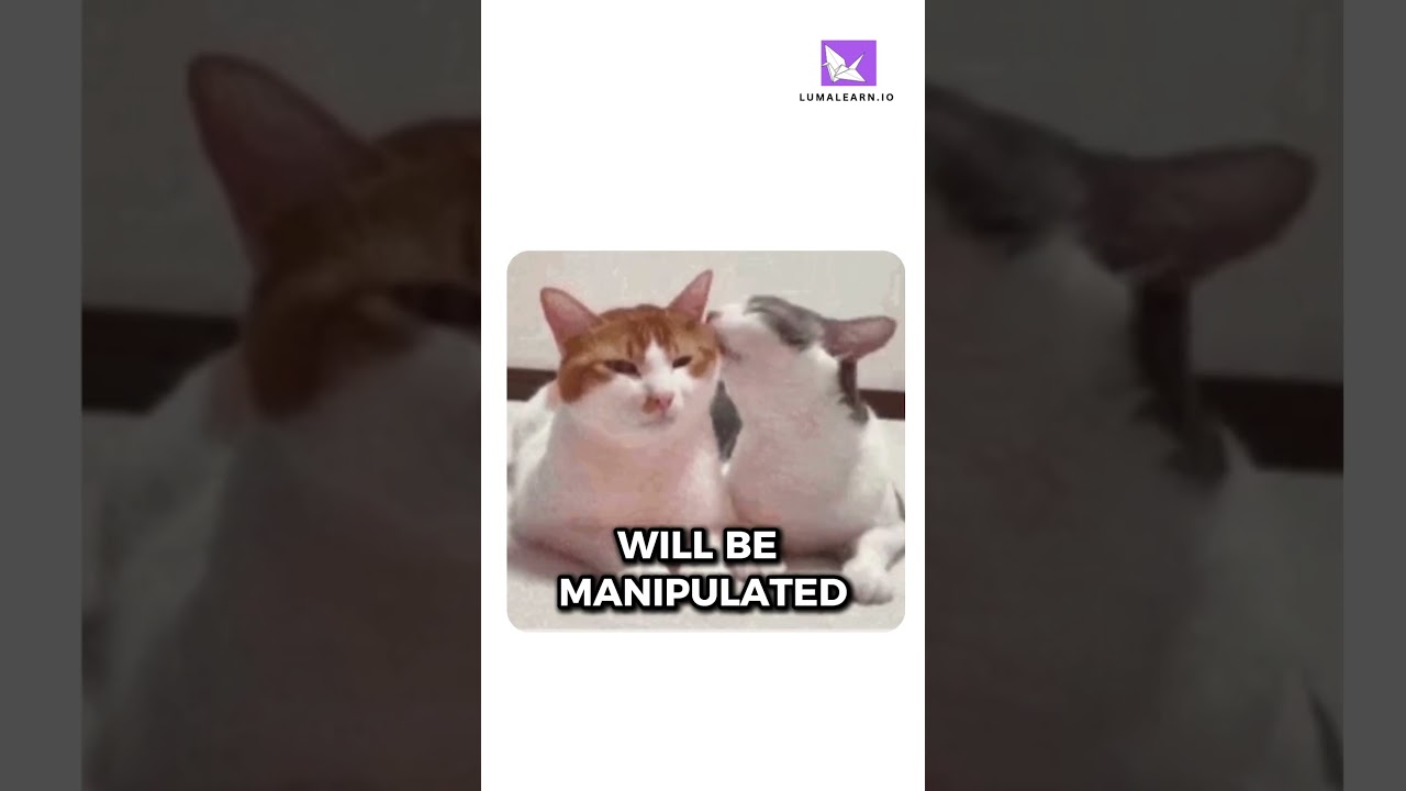 Why Smart People Still Fall for Liars - Explained By Cats