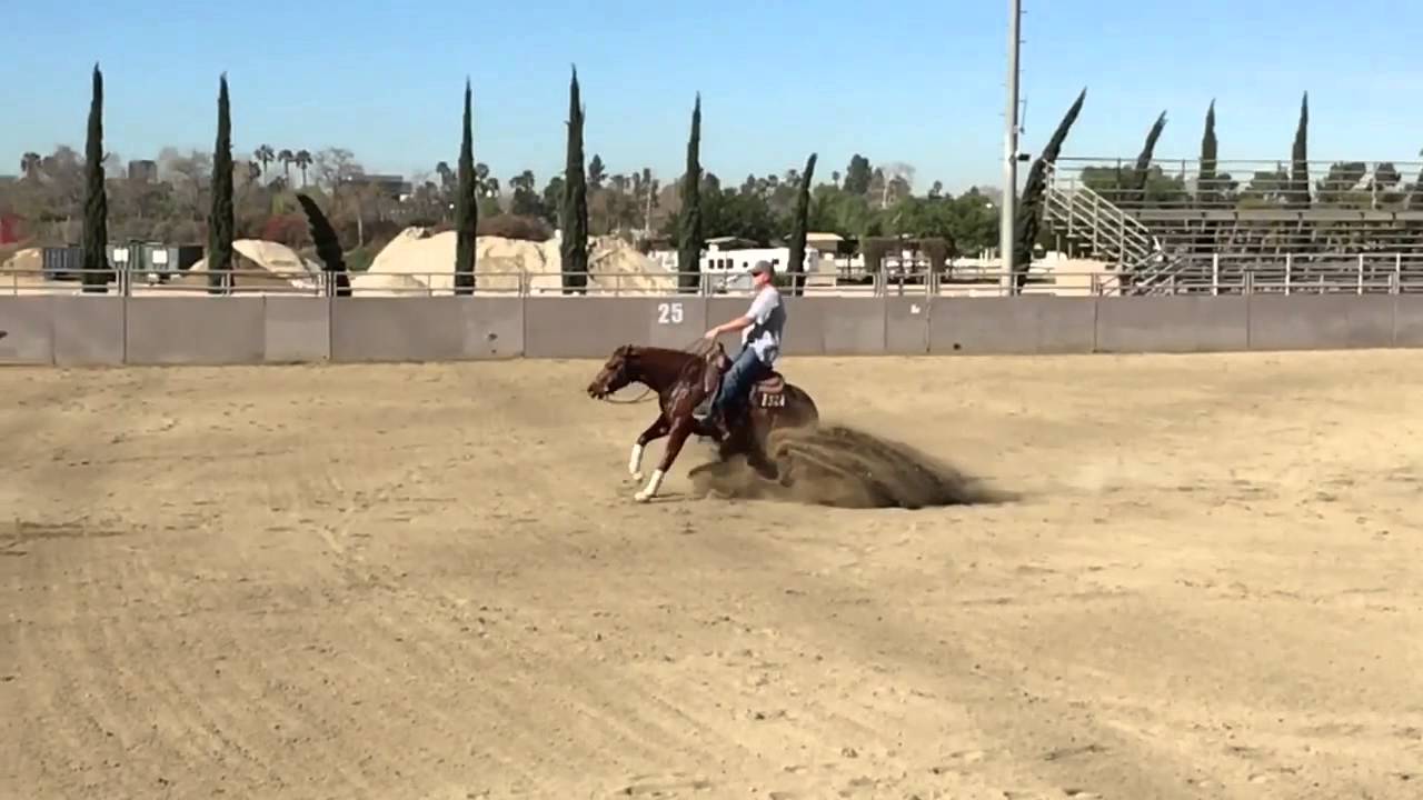 Slow motion slide stop: Whiz Eli Codie (Sleipner LLC)- NRHA 2016 Futurity Prospect