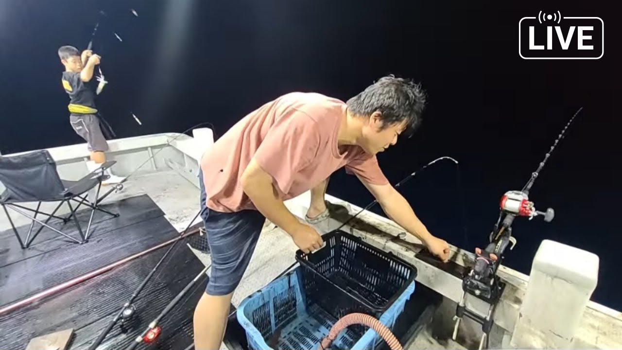【漁師・律丸は釣り船もやってます🙆‍♀️】剣先イカとアジ釣ってるよ♪チャット欄お気軽に～！！ 2024/08/07