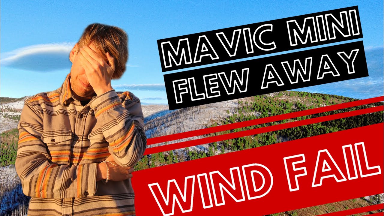 DJI MAVIC MINI: Fly's Away because of High Wind. Unable to return home, signal loss, and Crash.