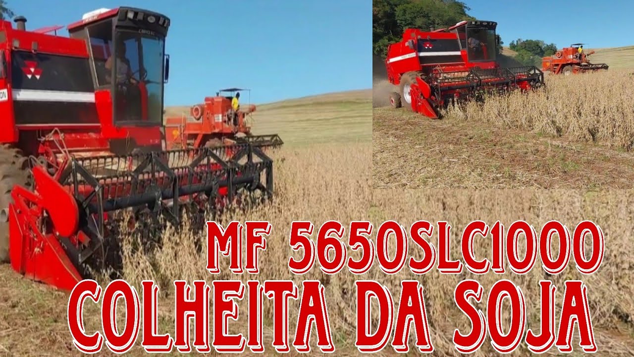 Colheita da Soja MF 5650!SLC 1000!