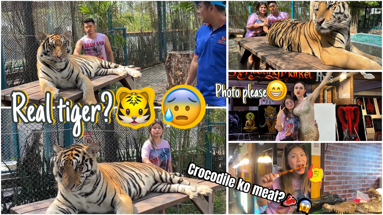 Real Tiger dekhnu payo🐯😱 jandai behos bhaye daar lay😰 | Crocodile ko masu pani try garay🐊😱🇹🇭
