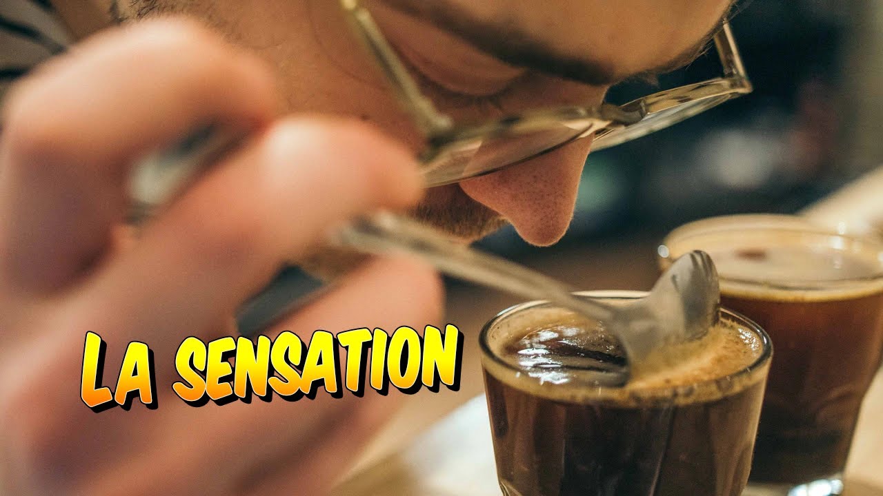 Psychologie - Qu'est-ce que la sensation ?