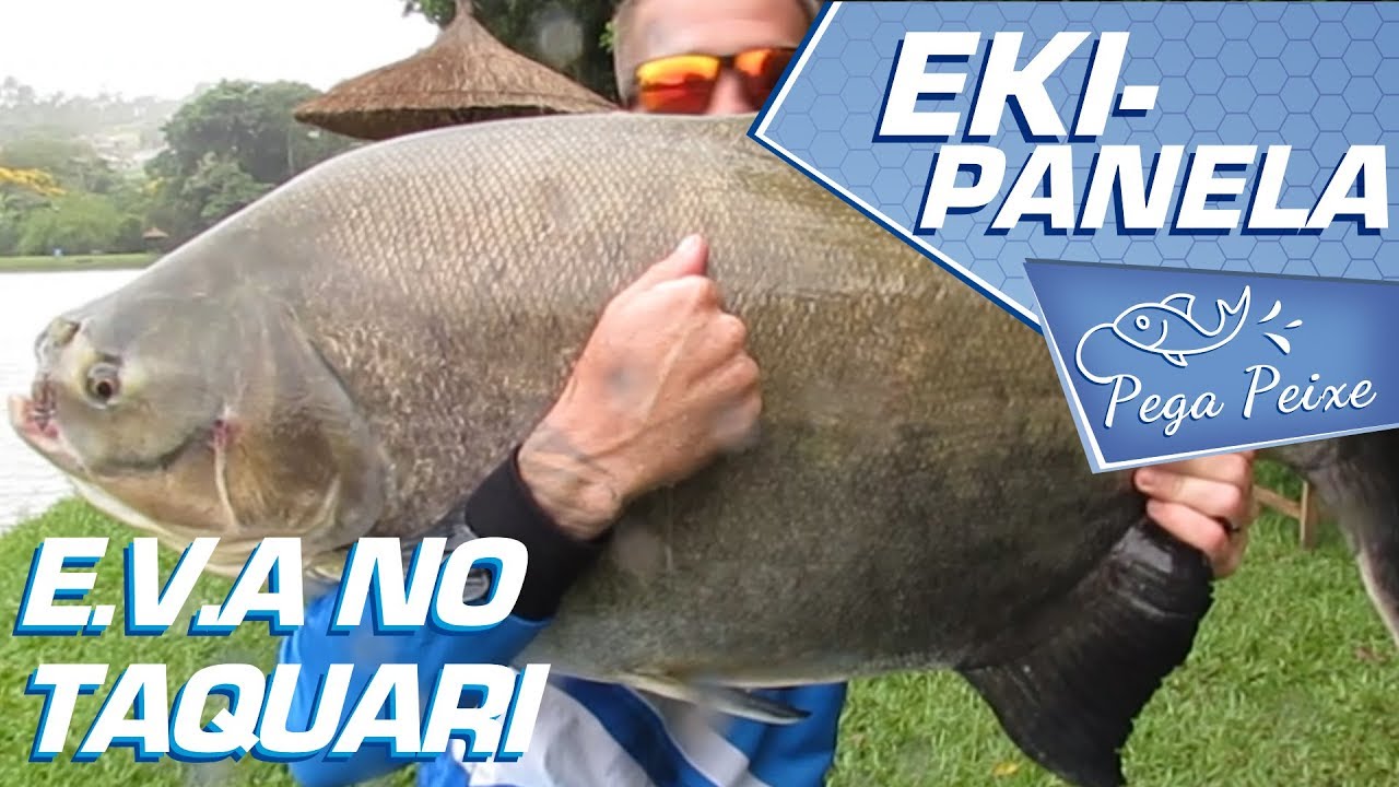 #59 EVA NO TAQUARI
