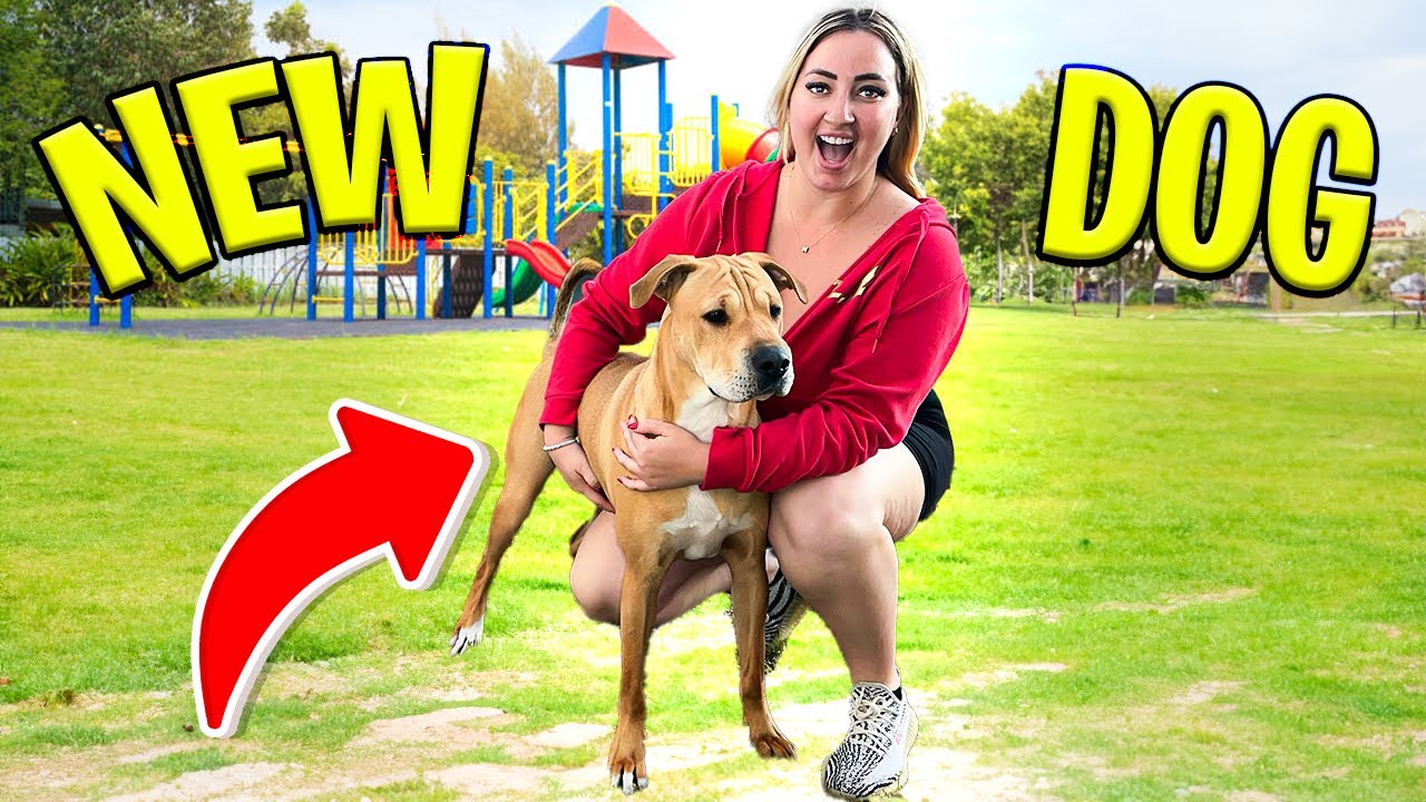 NEW DOG SURPRISE! *EMOTIONAL*