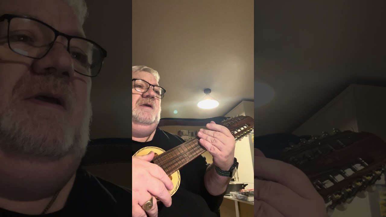 Quick Charango overview