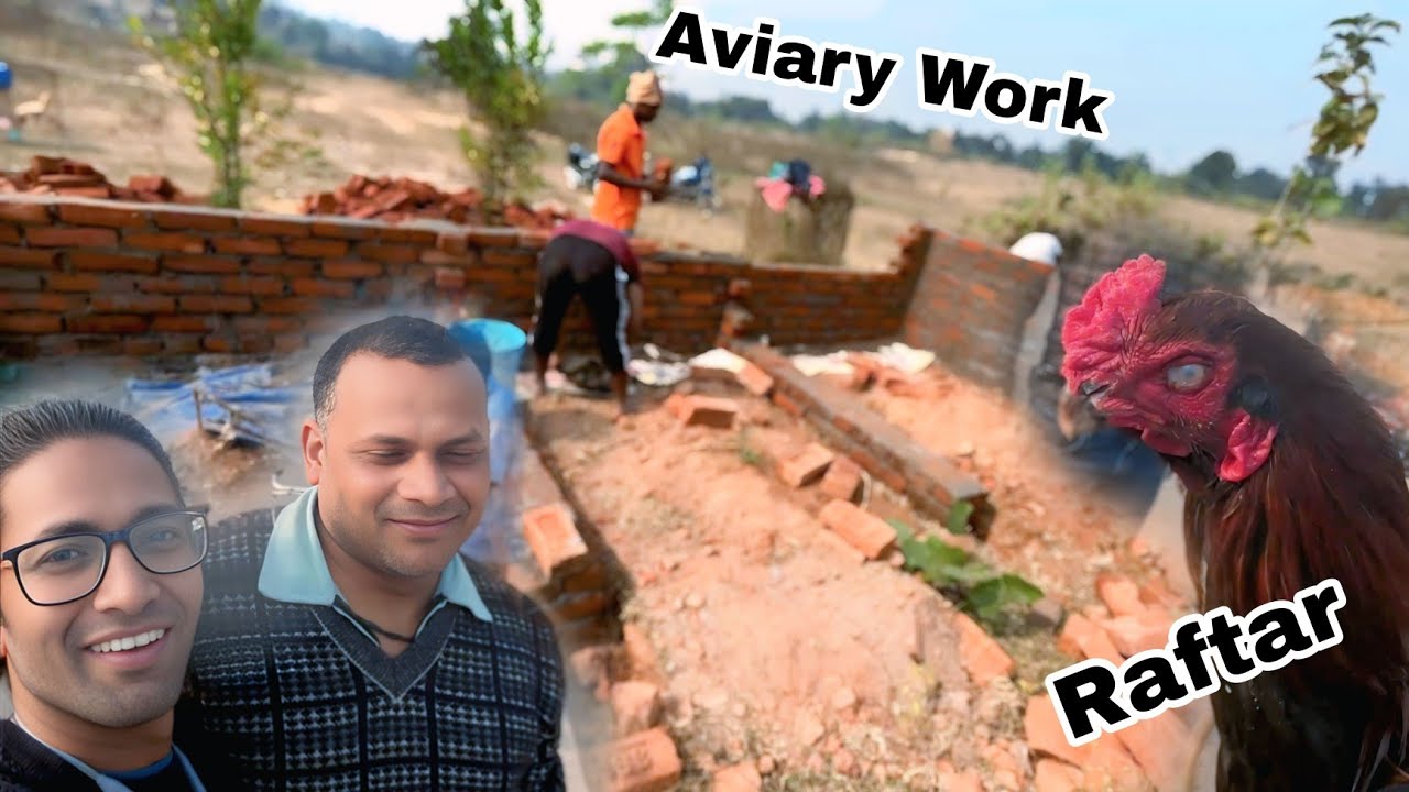 Aviary ka kaam start || Raftar farm se bahar