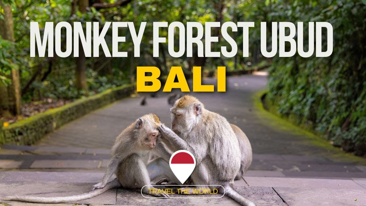 Exploring Monkey Forest Ubud: Bali's Wild Side & Hidden Treasures