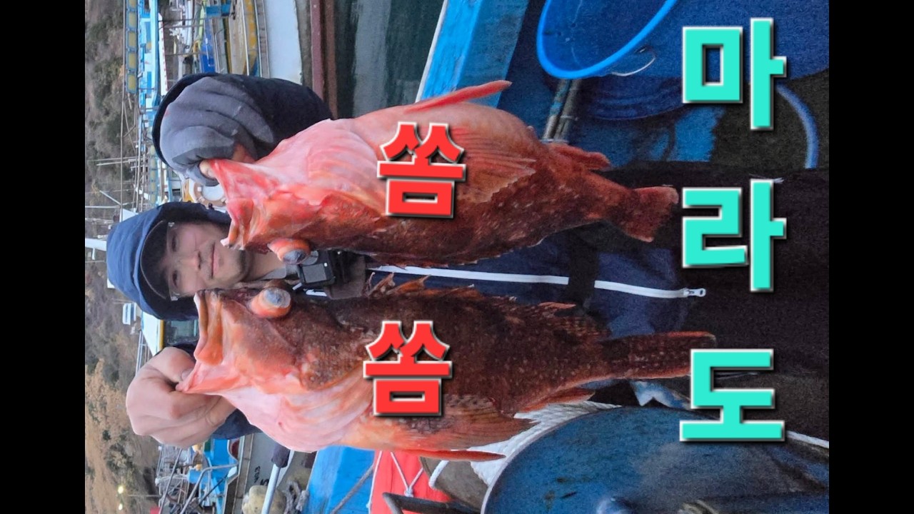 제주도 왕쏨뱅이 낚시 대상어 쏨뱅이 전문 출조
