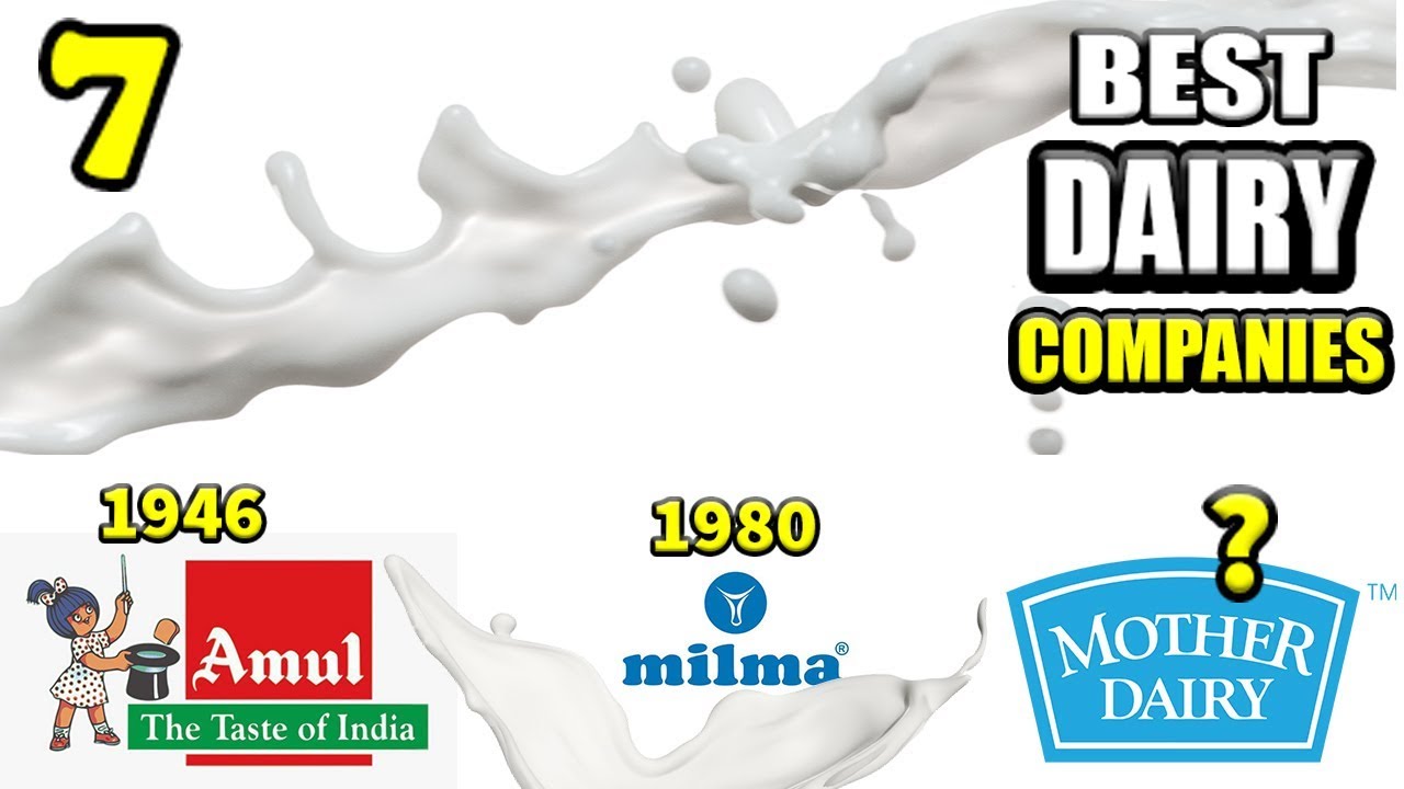 Top 7 Best Dairy Companies in India