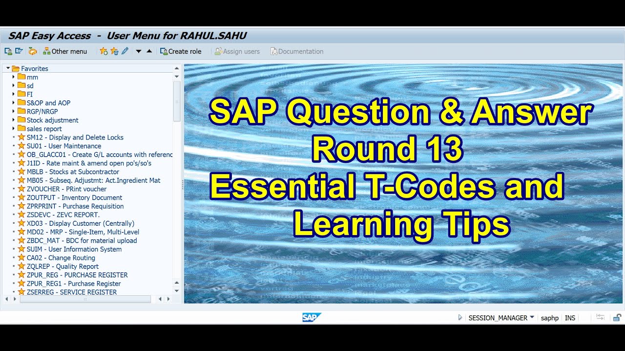 SAP Q&A Round 13: E1.ssential T-Codes and Learning Tips