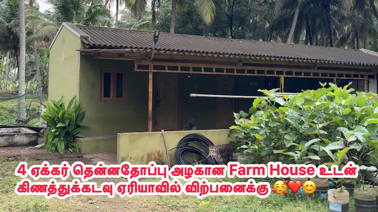 4 ஏக்கர் தென்னதோப்பு அழகான வீட்டுடன் கிணத்துக்கடவு ஏரியாவில் விற்பனைக்கு 
