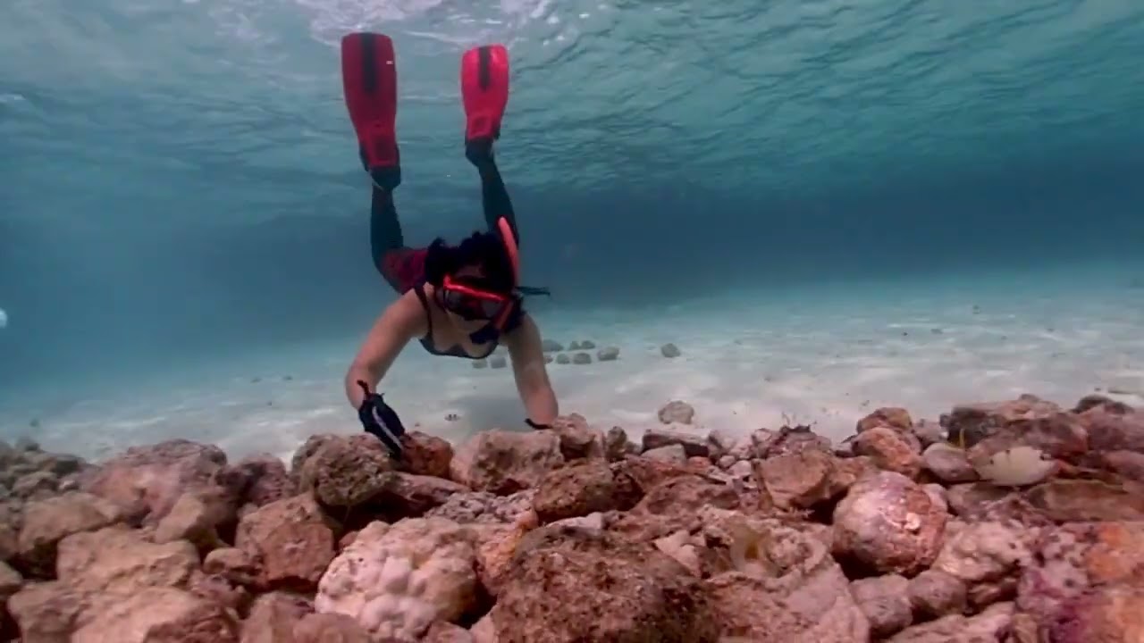 BAYACA ISLAND RESEARCH STATION