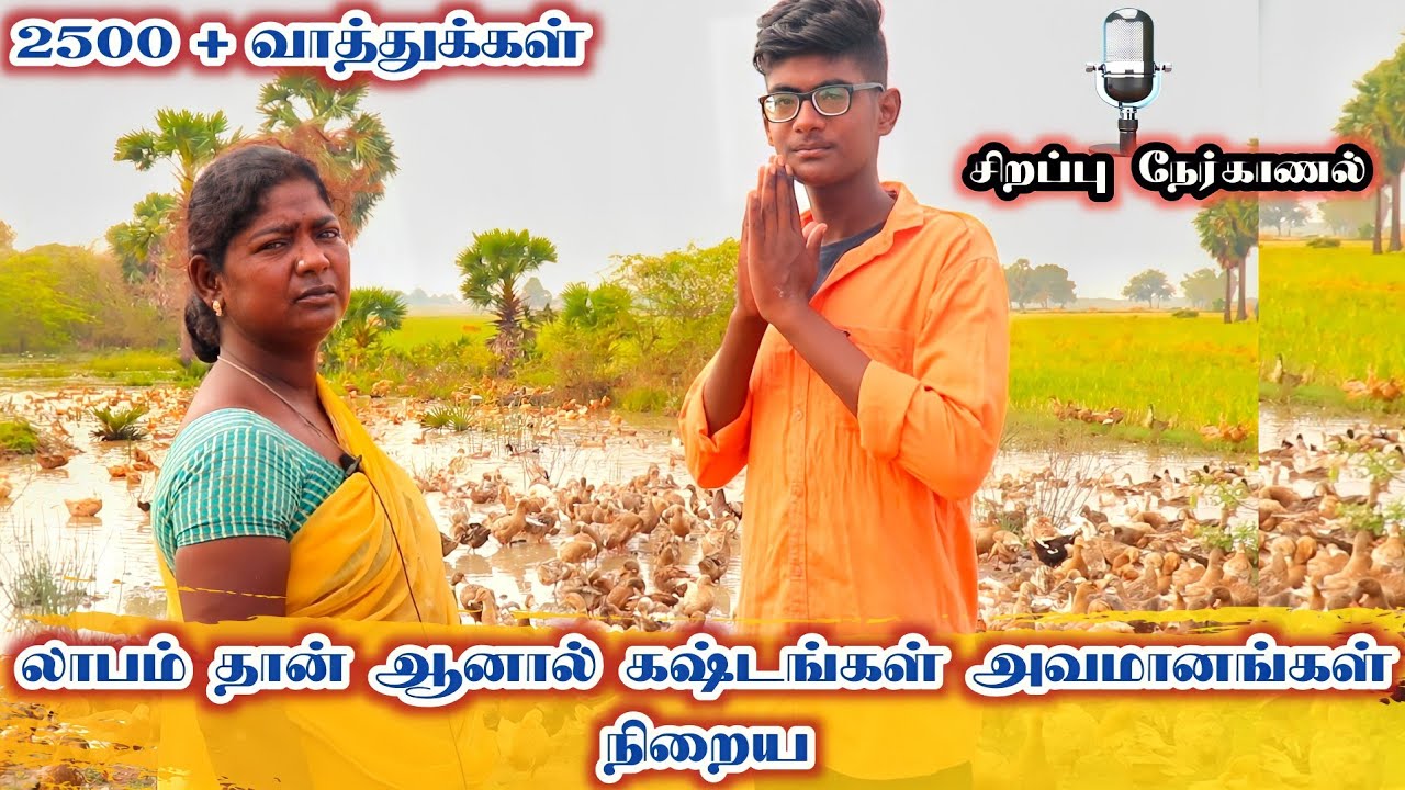 2500 க்கு மேற்பட்ட வாத்துக்கள் மேய்க்கும் பெண்மணி படும் கஷ்ட நஷ்டங்கள் & லாபங்கள் பற்றிய நேர்காணல்