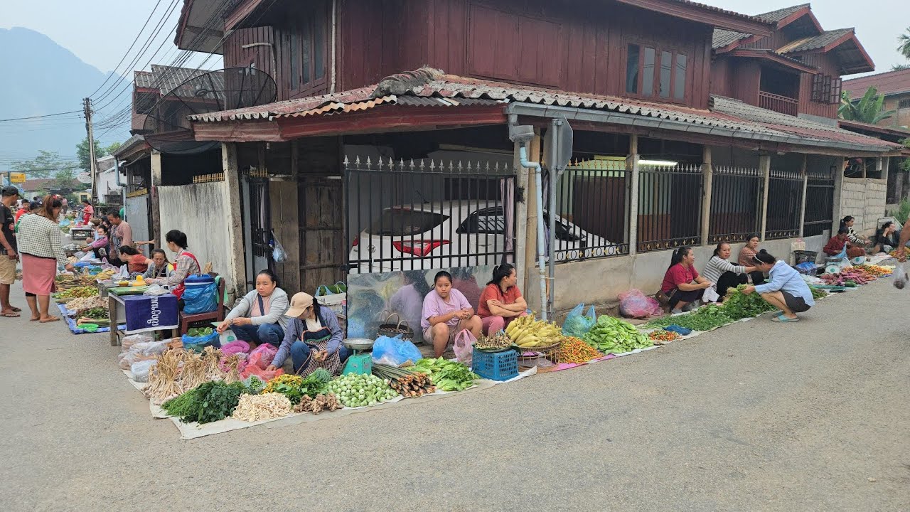 MORNING MARKET IN VANG VIENG LAOS| #mien #laostrip